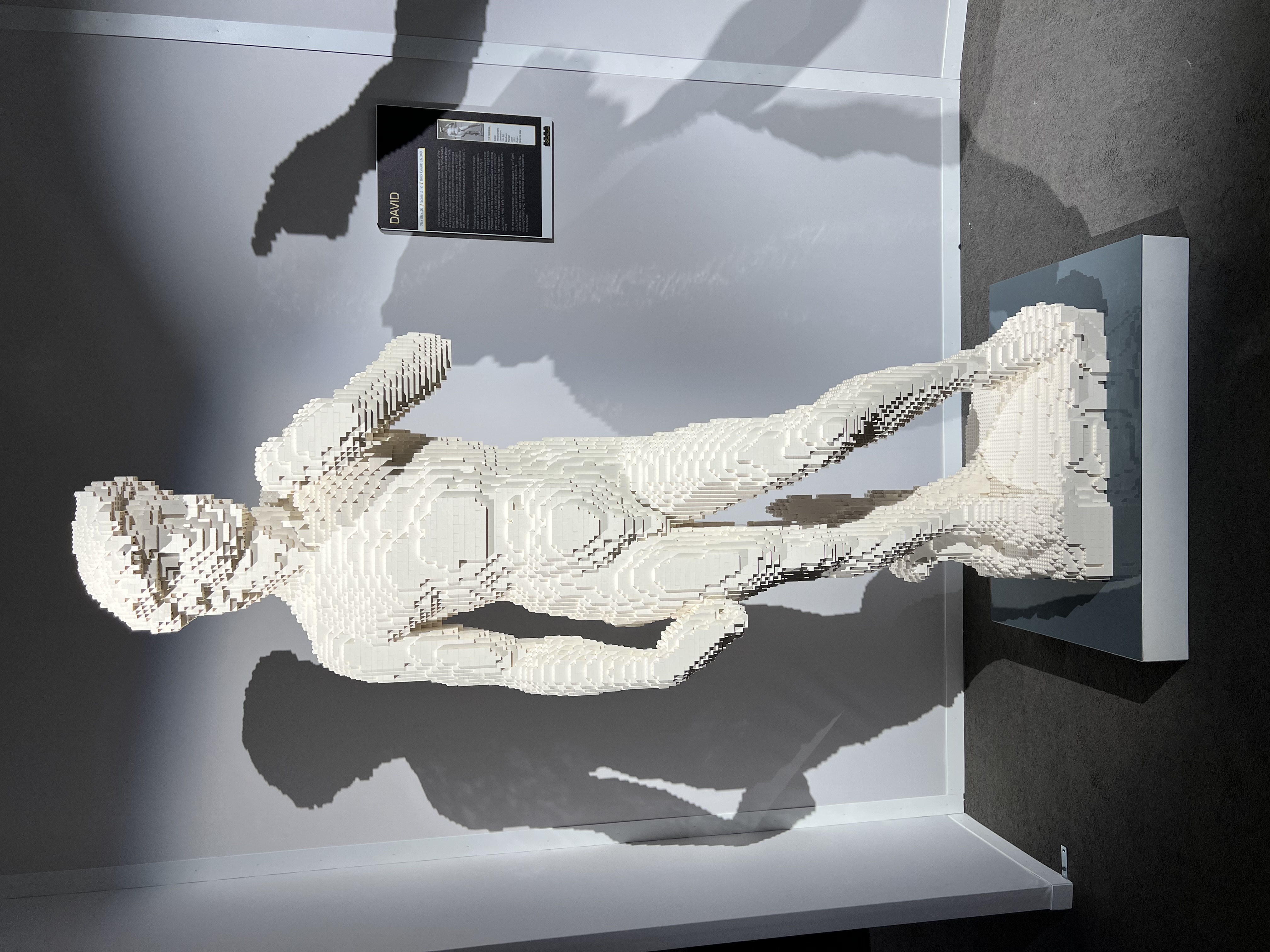 ./2023/07 - Art of the Brick/IMG_9561.JPG